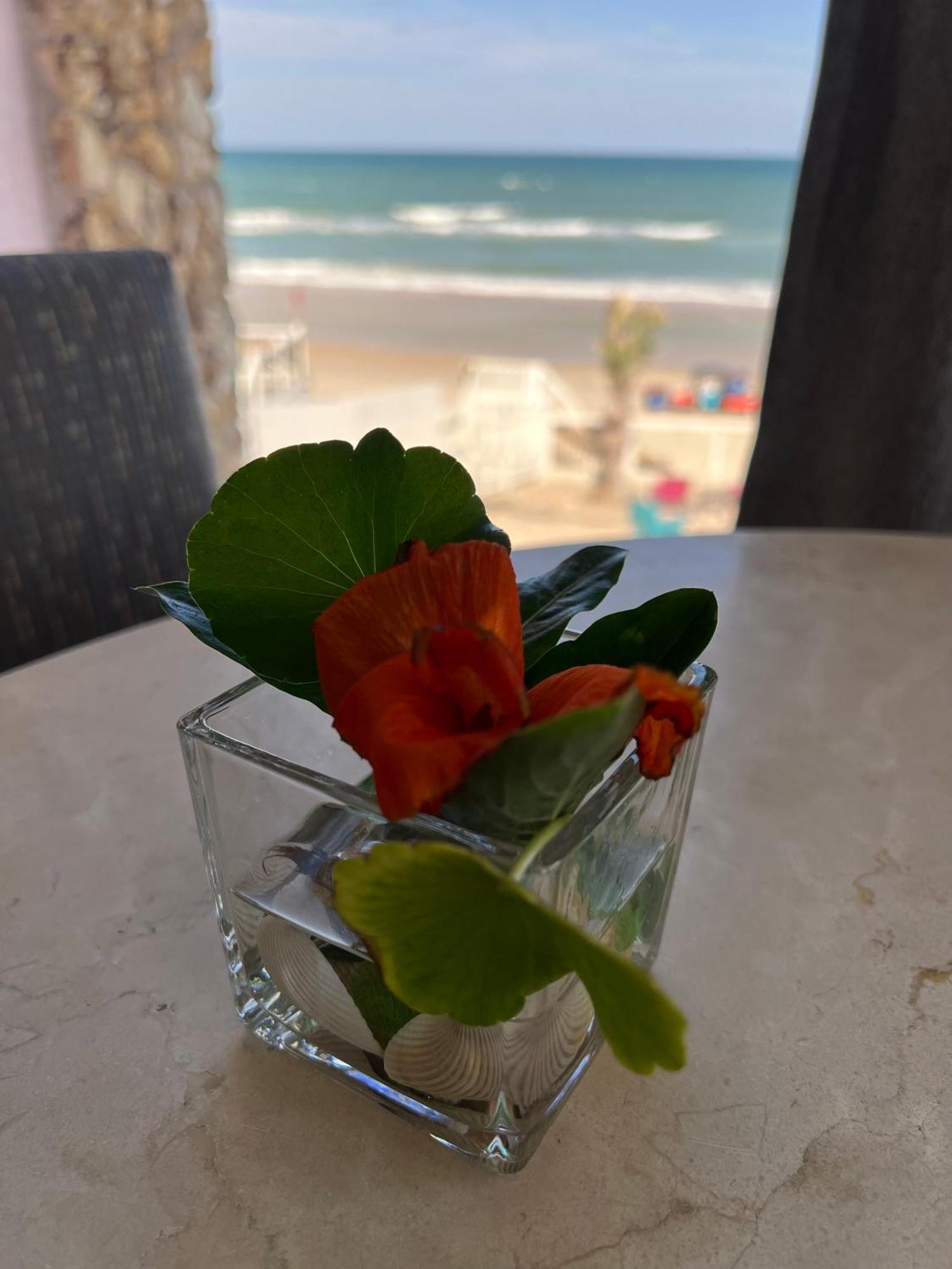 海滨 火烈鸟酒店 - 代托纳海滩 外观 照片
